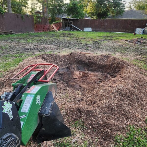 Completed tree service project by HamodaTrees in the Houston area