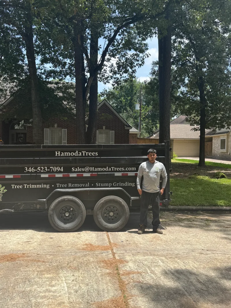 Luis, HamodaTrees climber and aerial specialist, on a job site in Houston, TX