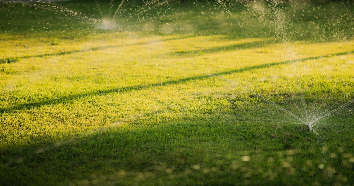 Sprinkler Systems in Houston by HamodaTrees