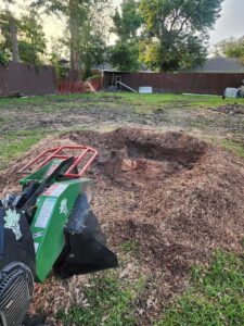 Stump Grinding Services in the Greater Houston Area