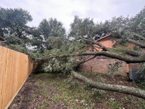 Read more about the article Protect Your Houston Home: The Importance of Tree Trimming to Prevent Storm Damage