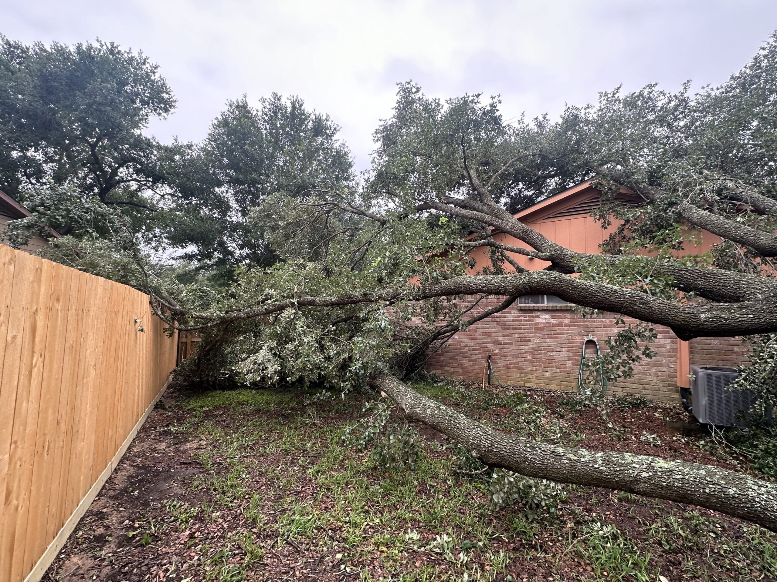 You are currently viewing Protect Your Houston Home: The Importance of Tree Trimming to Prevent Storm Damage