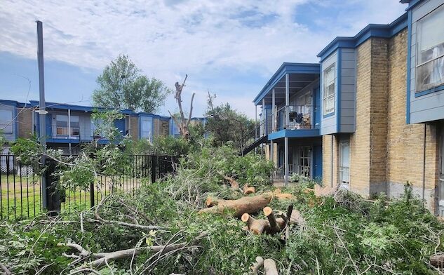 You are currently viewing Comprehensive Tree and Stump Removal at Rockport Apartments in Houston, TX