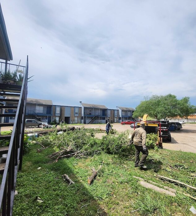 tree-trimming-stump-grinding-rockport-apartments13