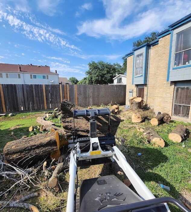 tree-trimming-stump-grinding-rockport-apartments15