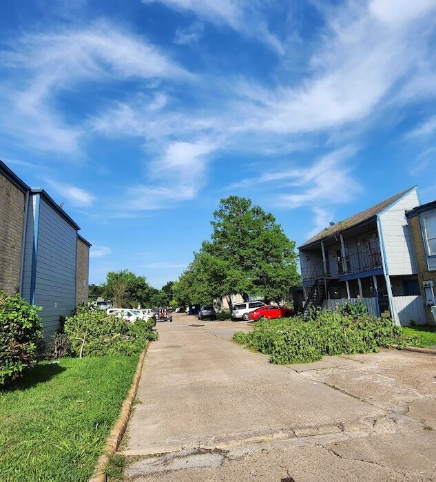 tree-trimming-stump-grinding-rockport-apartments22