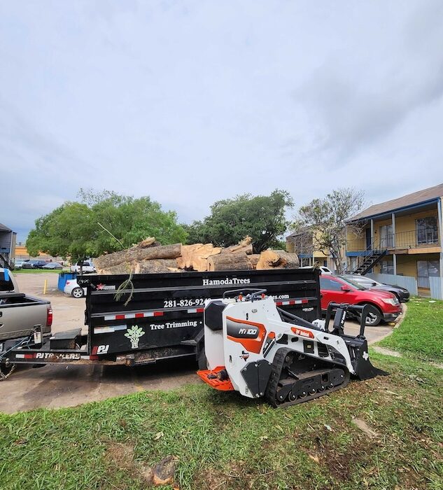 tree-trimming-stump-grinding-rockport-apartments26