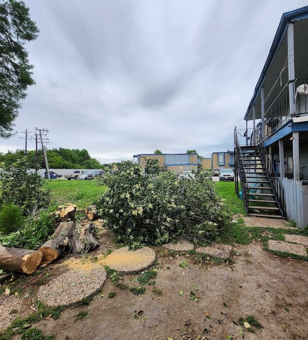 tree-trimming-stump-grinding-rockport-apartments29