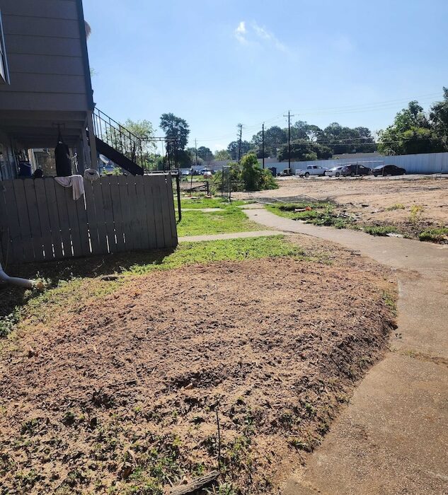 tree-trimming-stump-grinding-rockport-apartments33