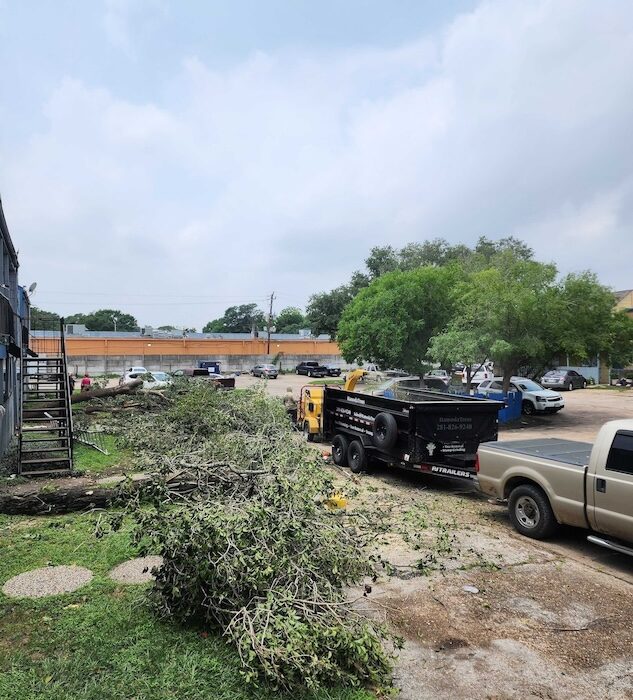 tree-trimming-stump-grinding-rockport-apartments5