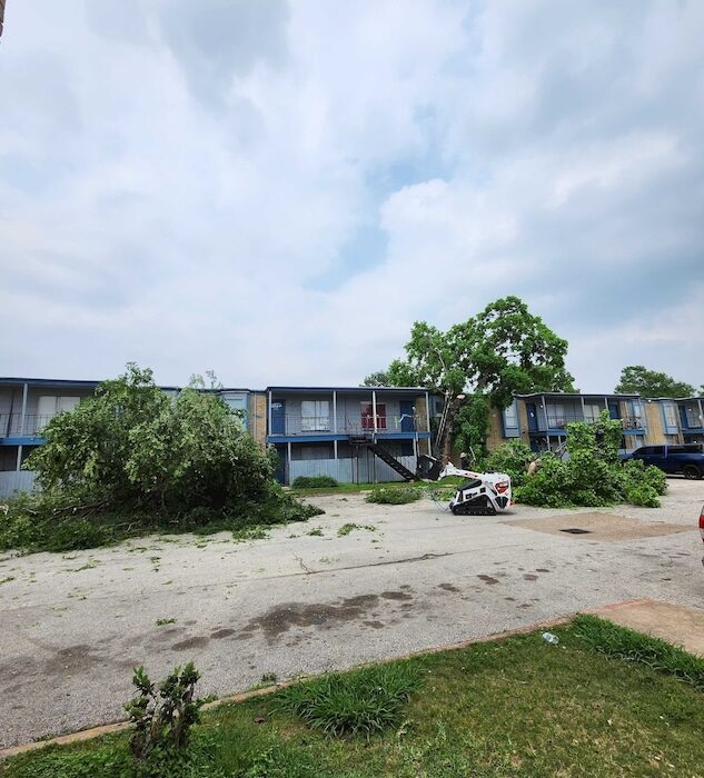 tree-trimming-stump-grinding-rockport-apartments8