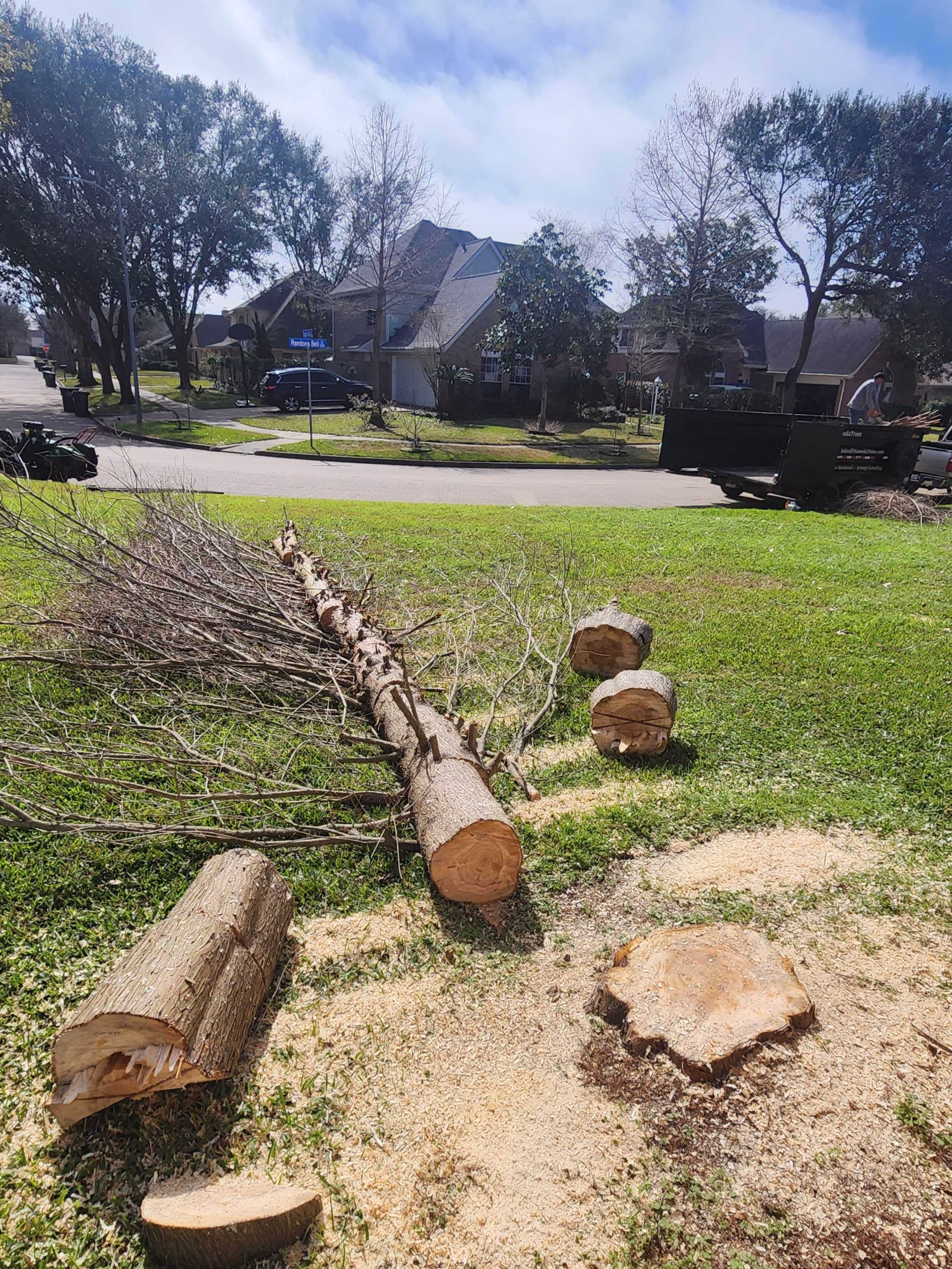 You are currently viewing Top 7 Signs Your Tree Needs Emergency Removal in Houston