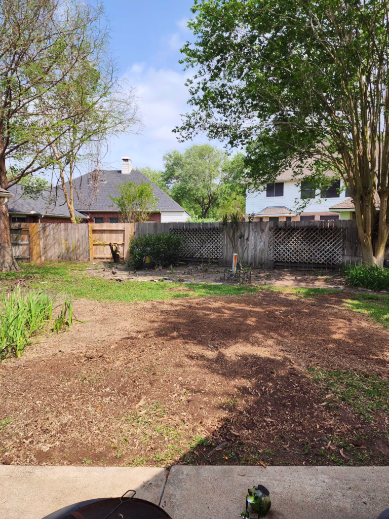 Professional Tree Services in Sugar Land
