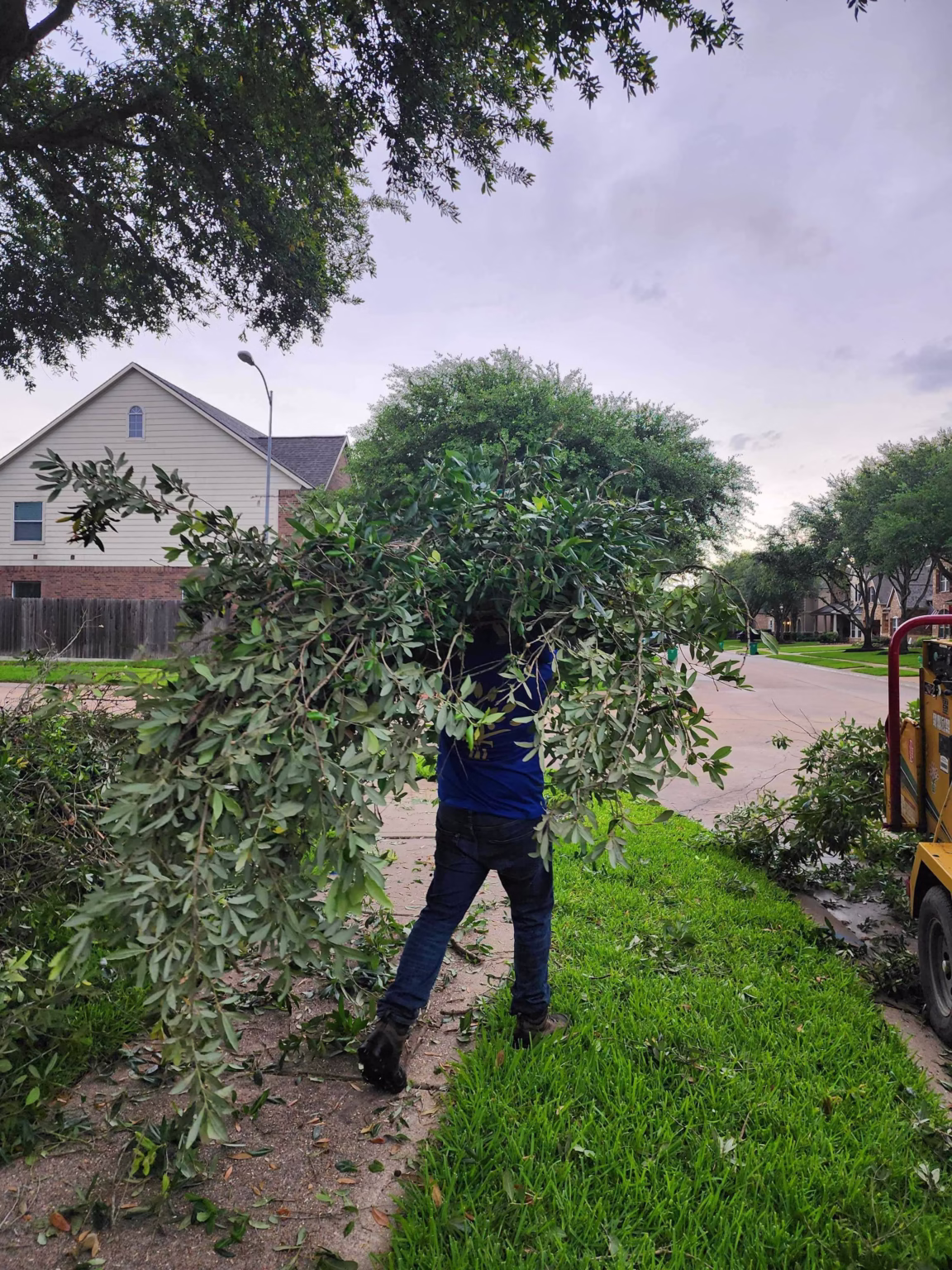 tree trimming in Swirling Cloud Cypress, TX