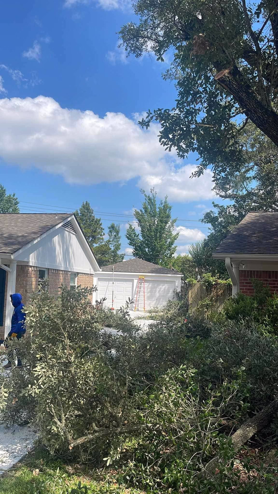 tree trimming on Sageberry Dr Houston TX