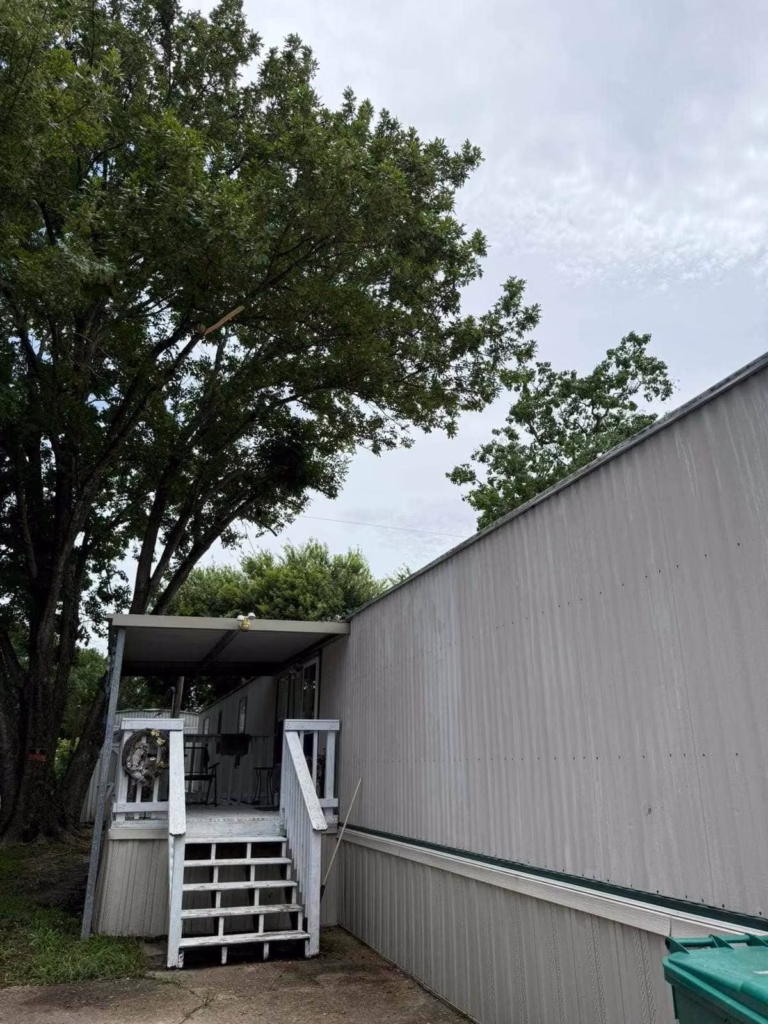 tree trimming in Deer Park TX