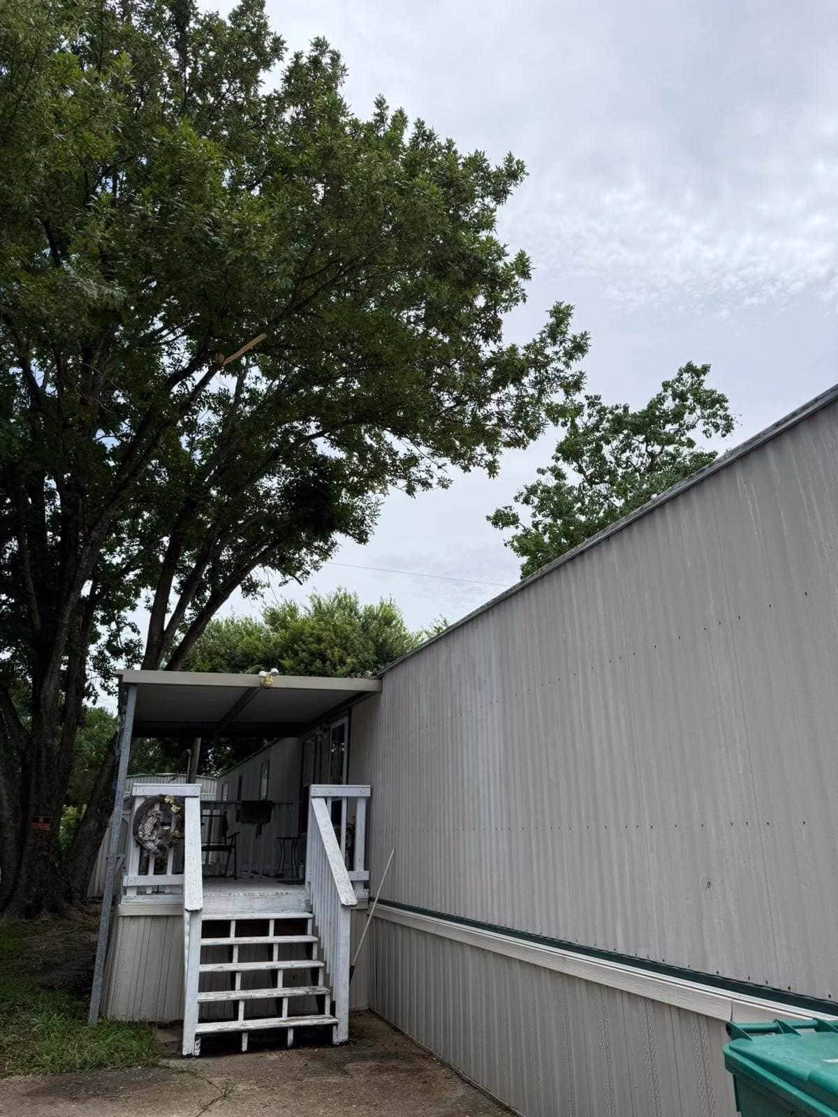 tree trimming in Deer Park TX
