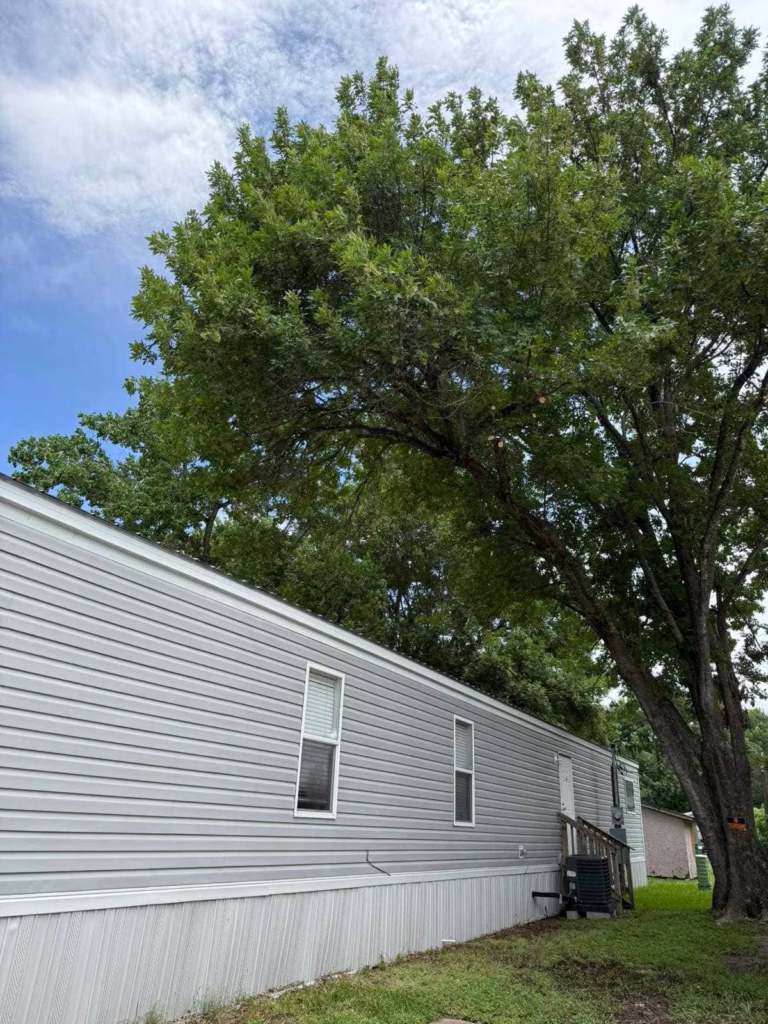 tree trimming in Deer Park TX