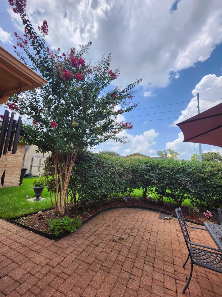 Expert Tree Trimming in Richmond, TX | Hamoda Trees