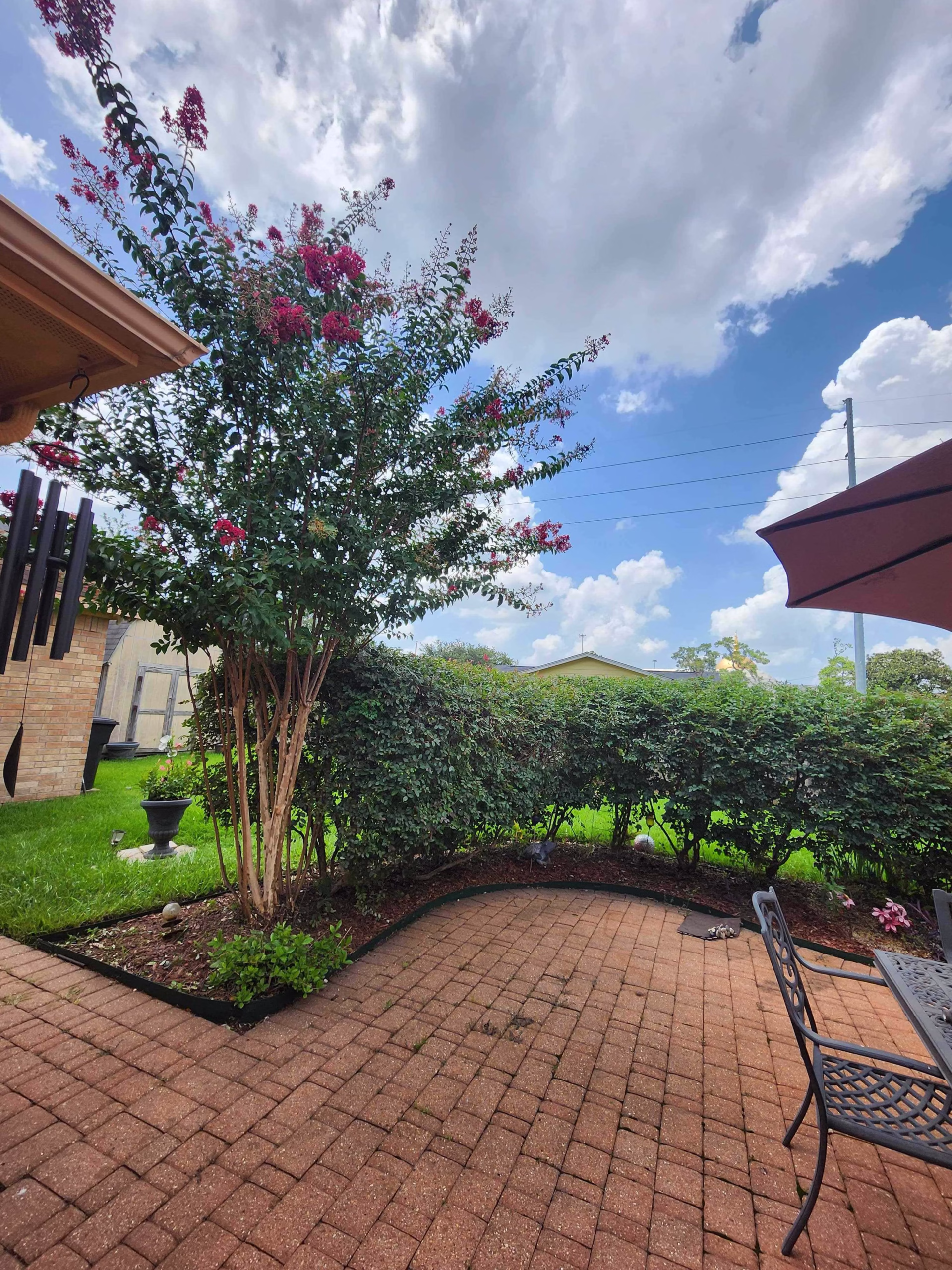 Expert Tree Trimming in Richmond, TX | Hamoda Trees