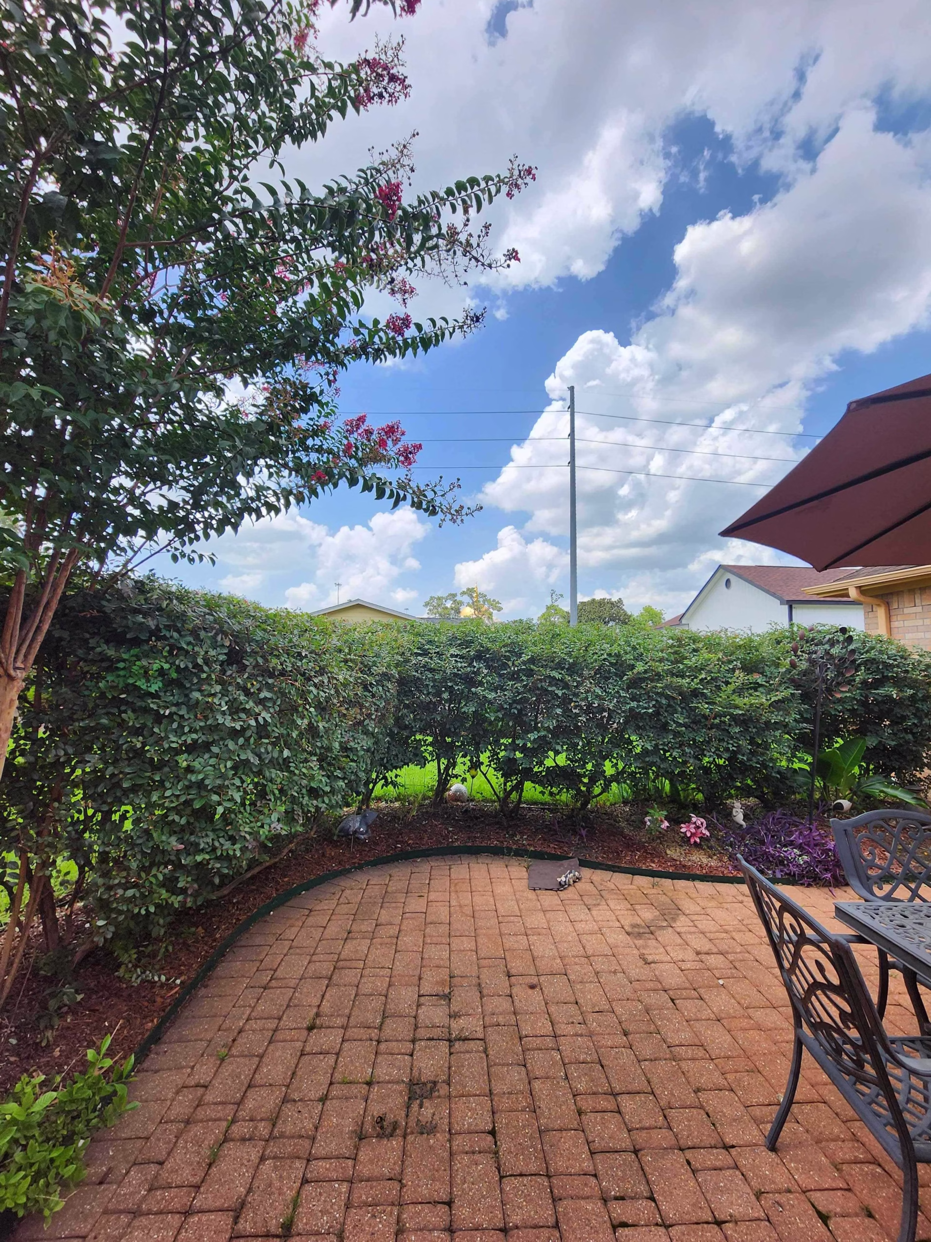 Expert Tree Trimming in Richmond, TX | Hamoda Trees