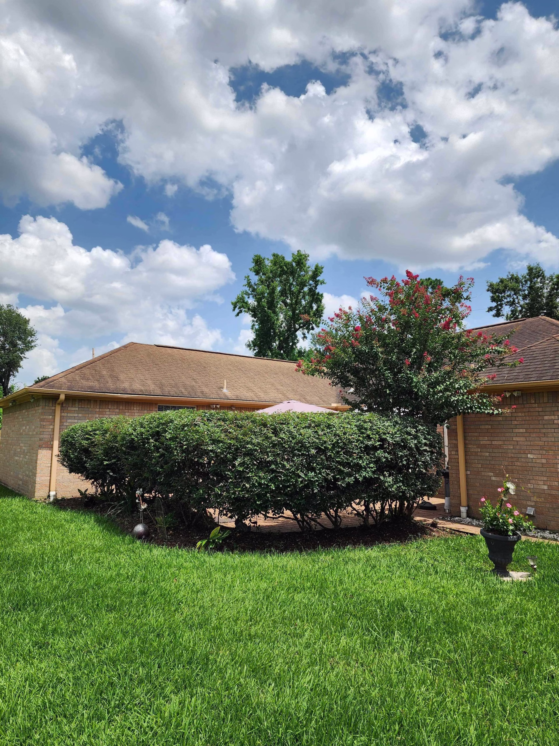 You are currently viewing Expert Tree Trimming in Richmond, TX | HamodaTrees