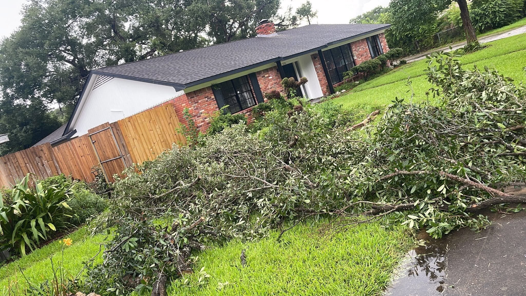 tree-removal-service-stillbrooke-houston - Expert Tree Removal Service by HamodaTrees