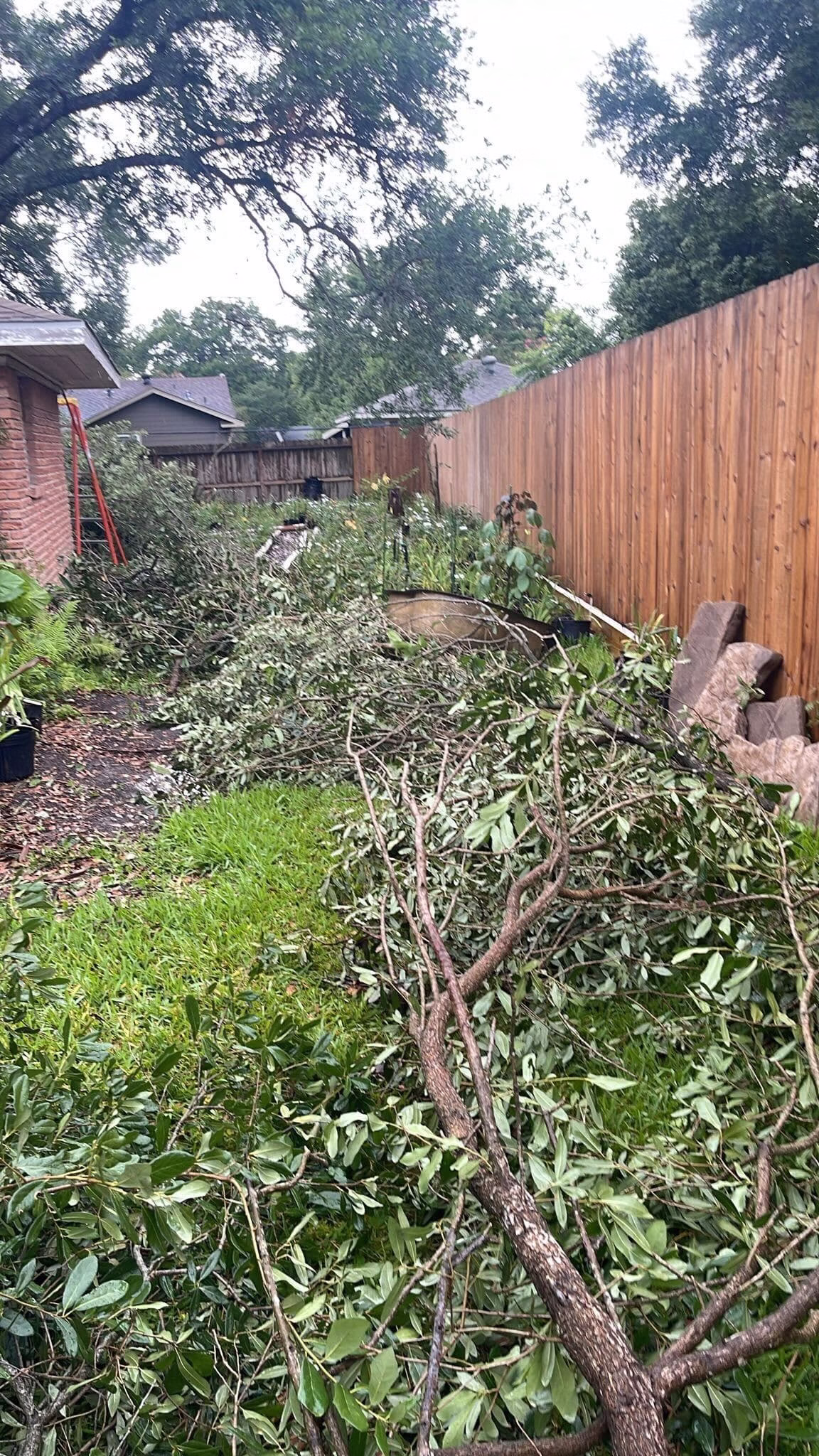 tree-removal-service-stillbrooke-houston - Expert Tree Removal Service by HamodaTrees