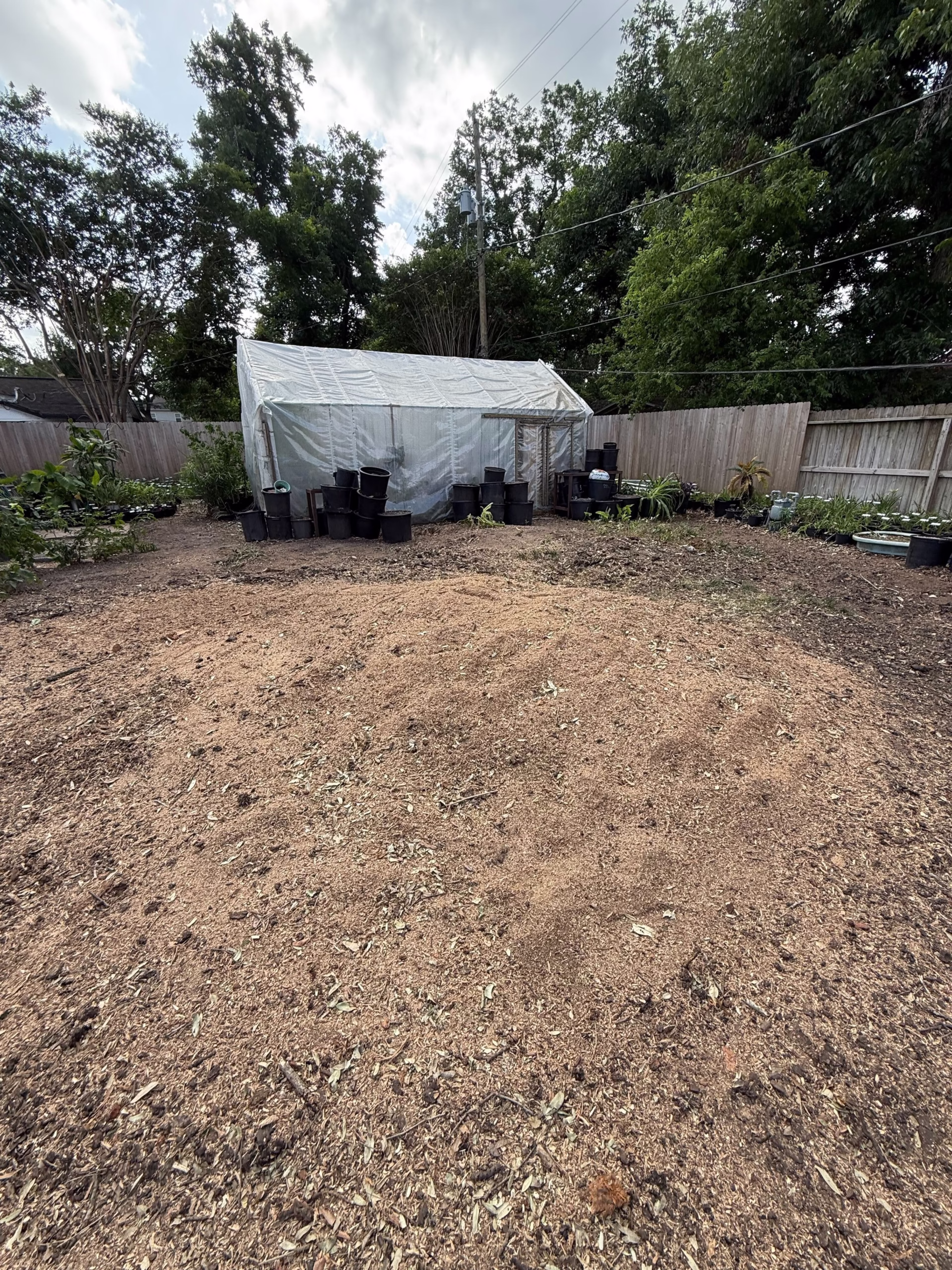 tree-removal-service-stillbrooke-houston - Expert Tree Removal Service by HamodaTrees