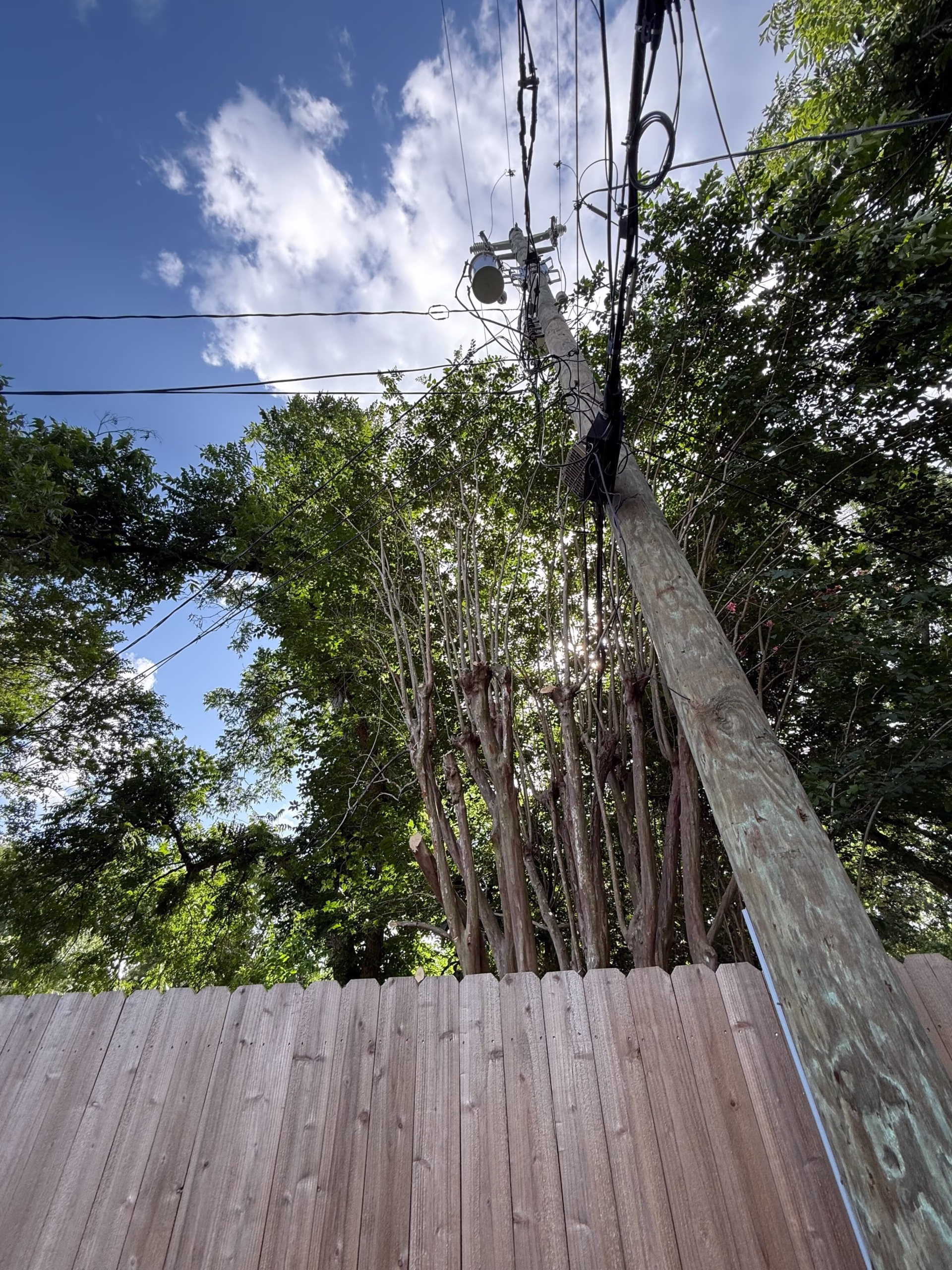 tree-removal-service-stillbrooke-houston - Expert Tree Removal Service by HamodaTrees