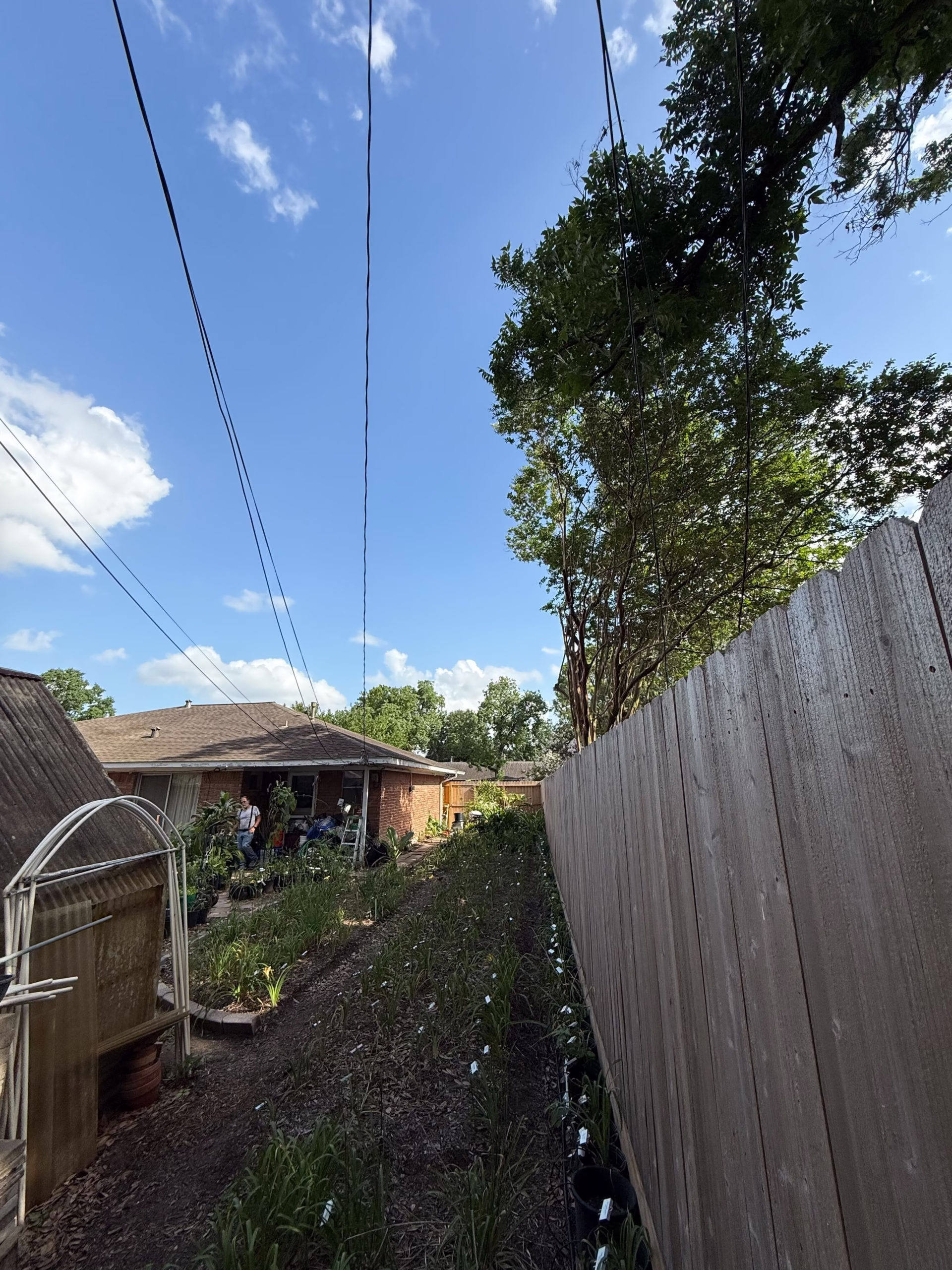tree-removal-service-stillbrooke-houston - Expert Tree Removal Service by HamodaTrees