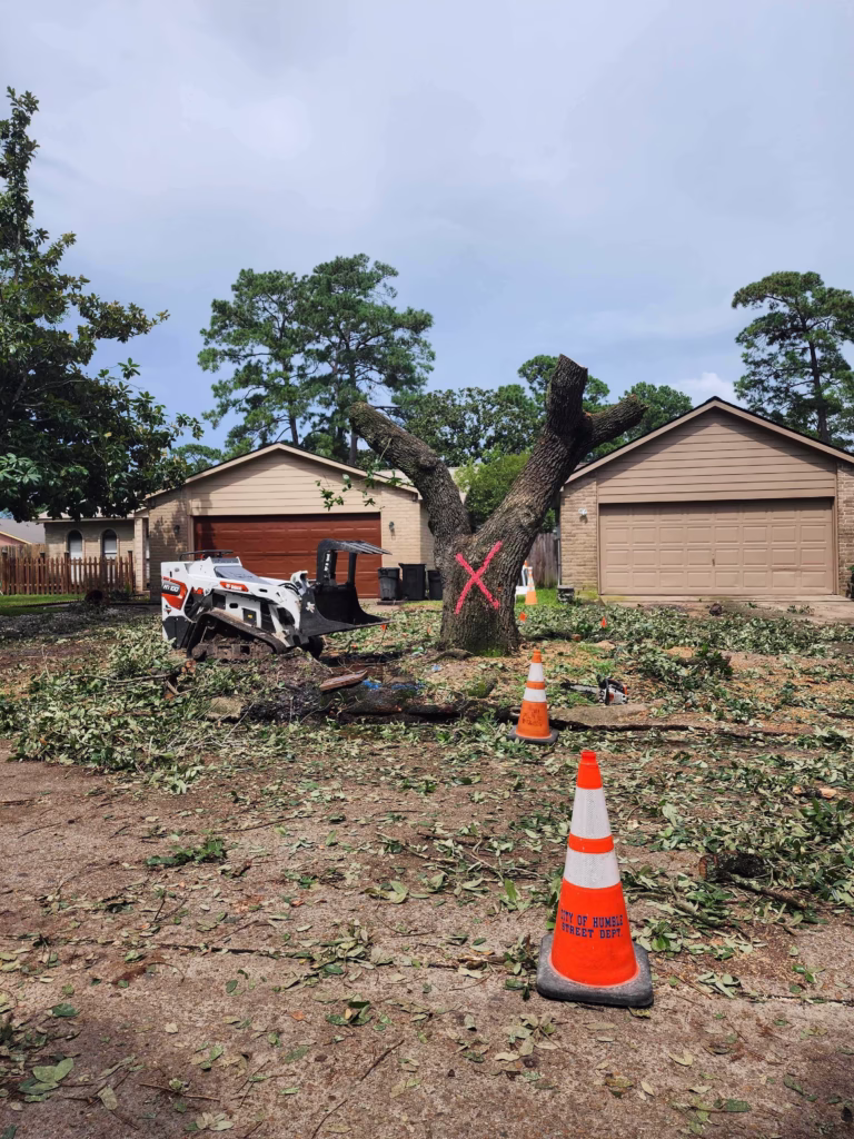 Tree Services for City of Humble