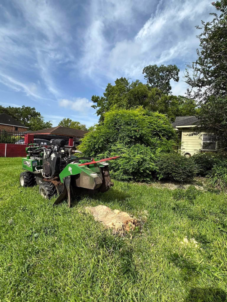 Tree Removal in Ferguson Humble TX | Professional Tree Services