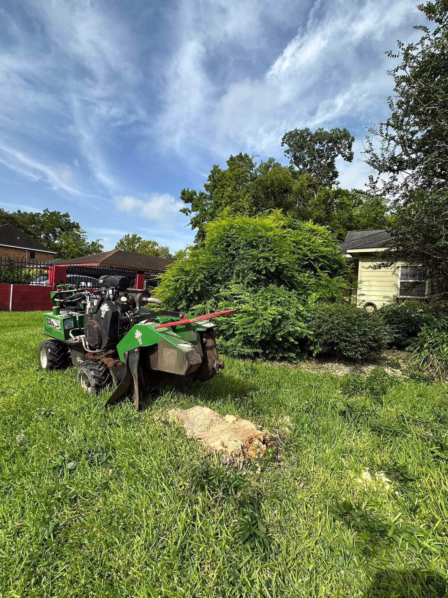 Tree Removal in Ferguson Humble TX | Professional Tree Services