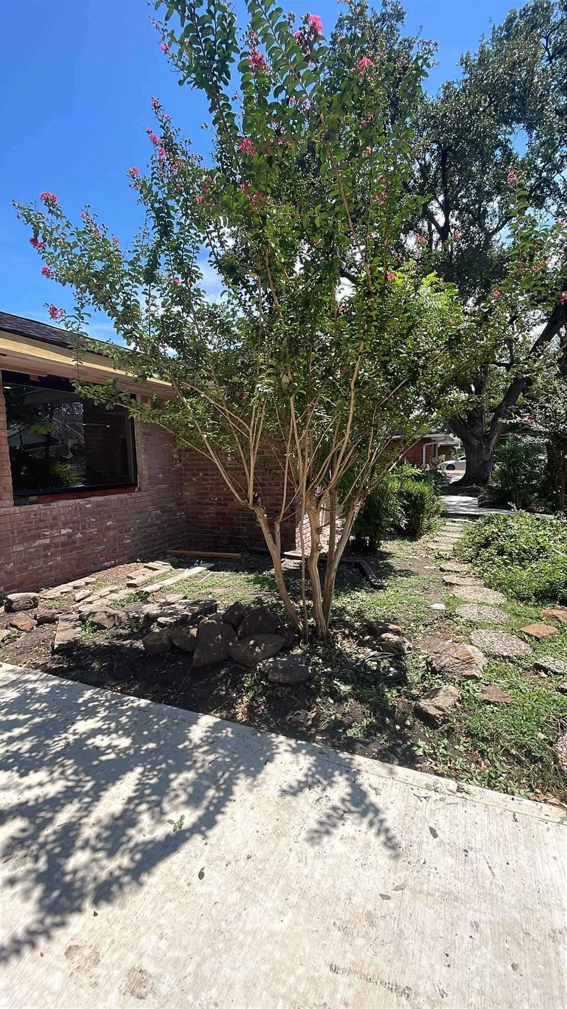 Tree Removal in Kapri Ln Houston