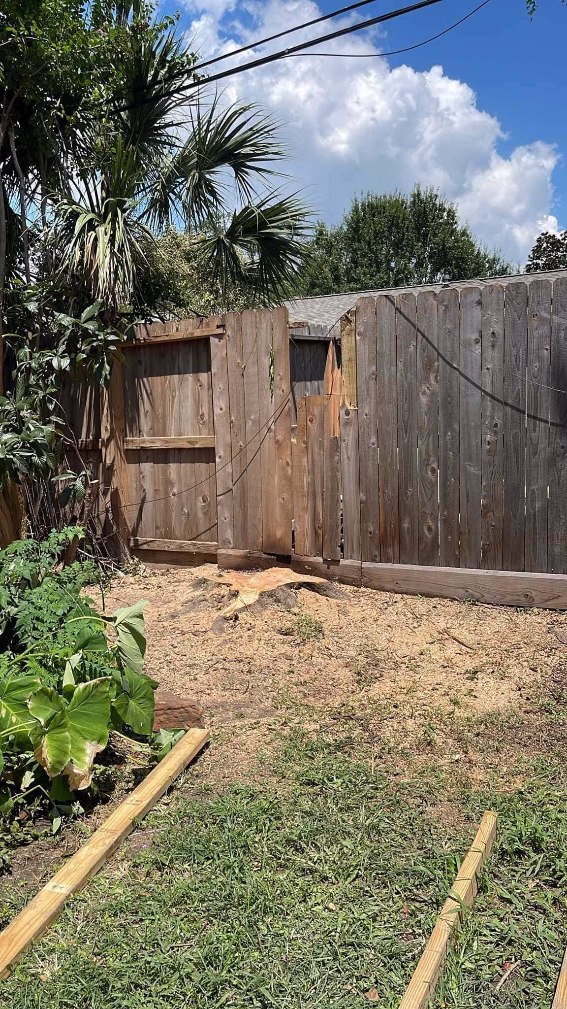 Tree Removal in Kapri Ln Houston