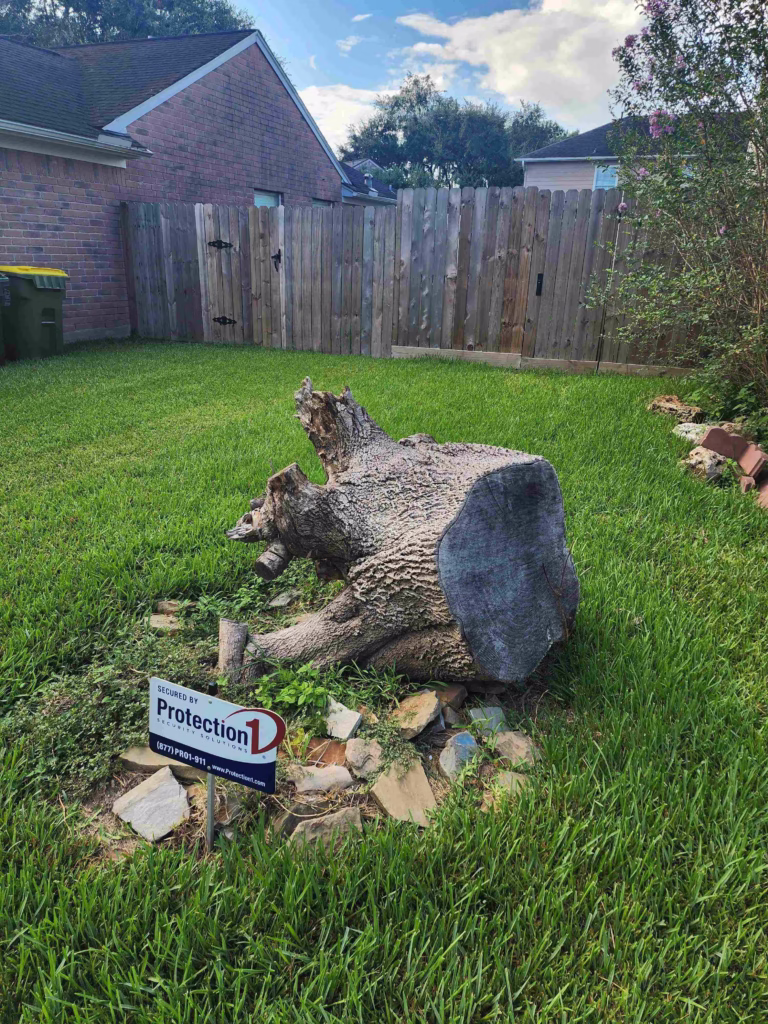 tree trimming in Pearland Houston
