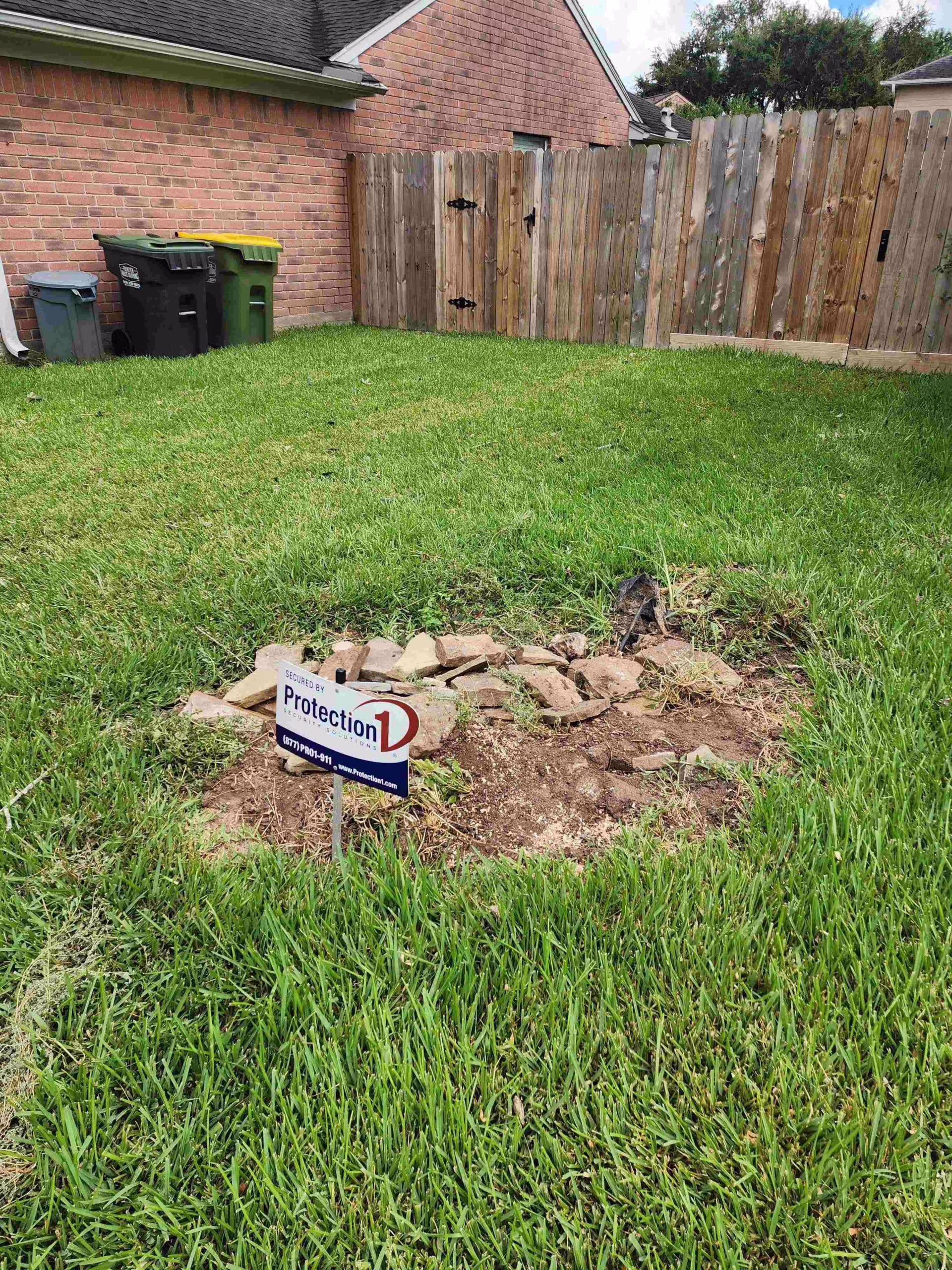 tree trimming in Pearland Houston