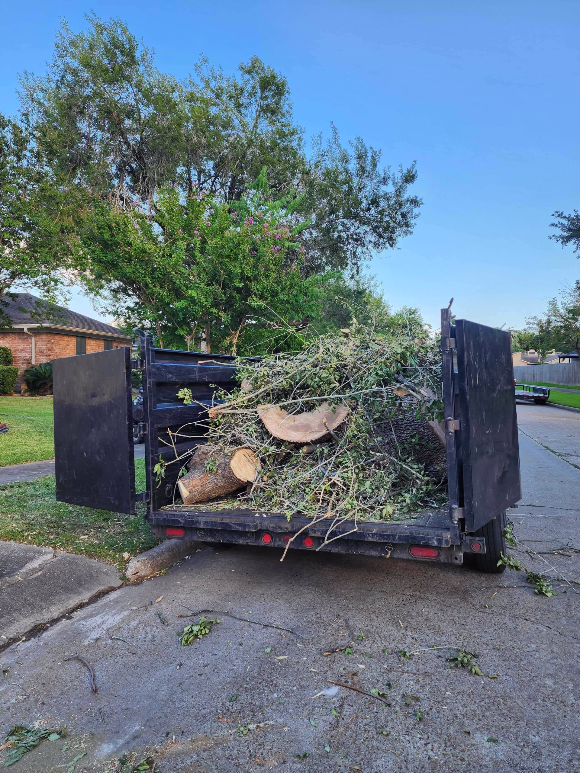 tree removal in Longvine Dr Houston TX