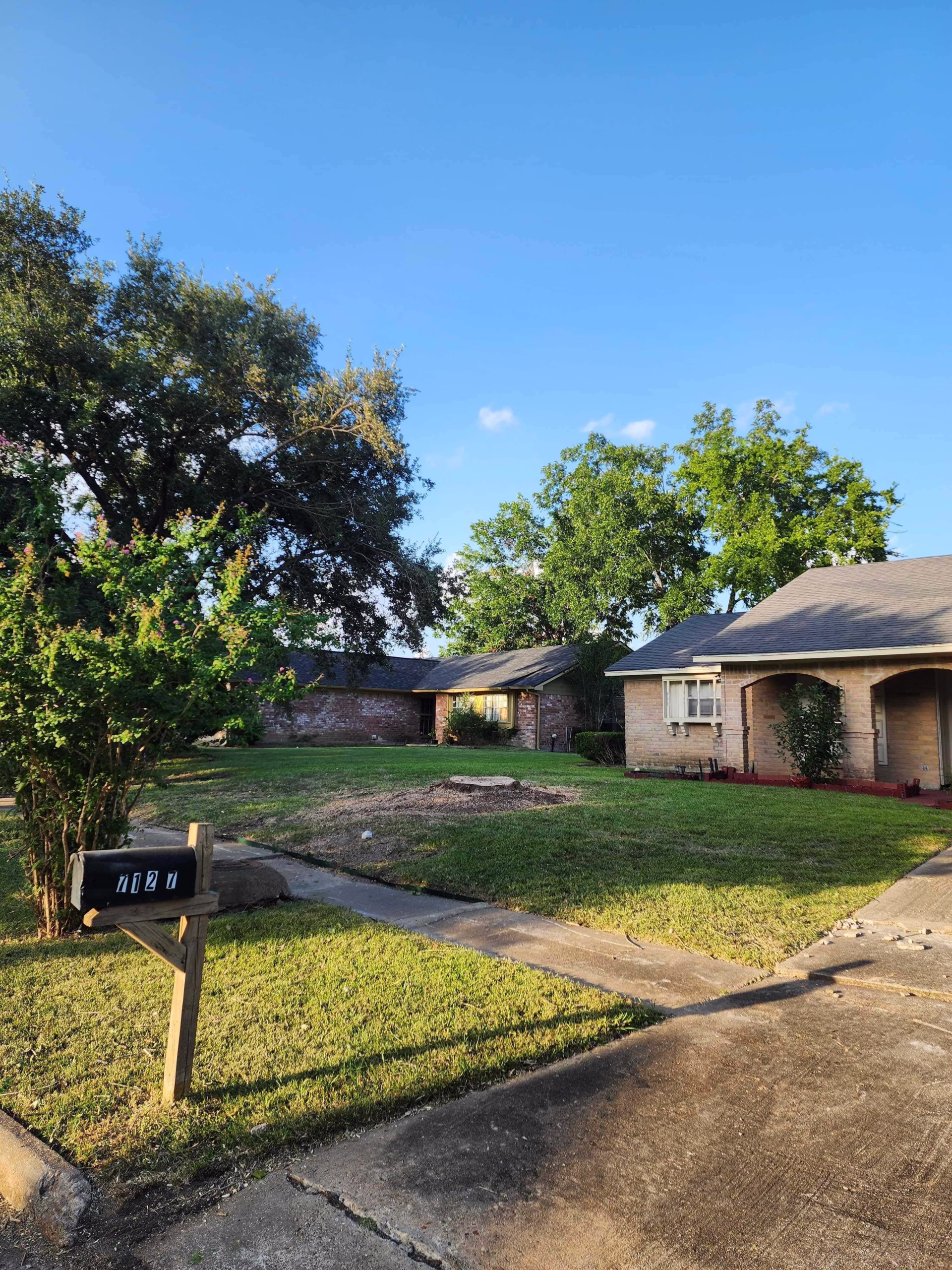 tree removal in Longvine Dr Houston TX