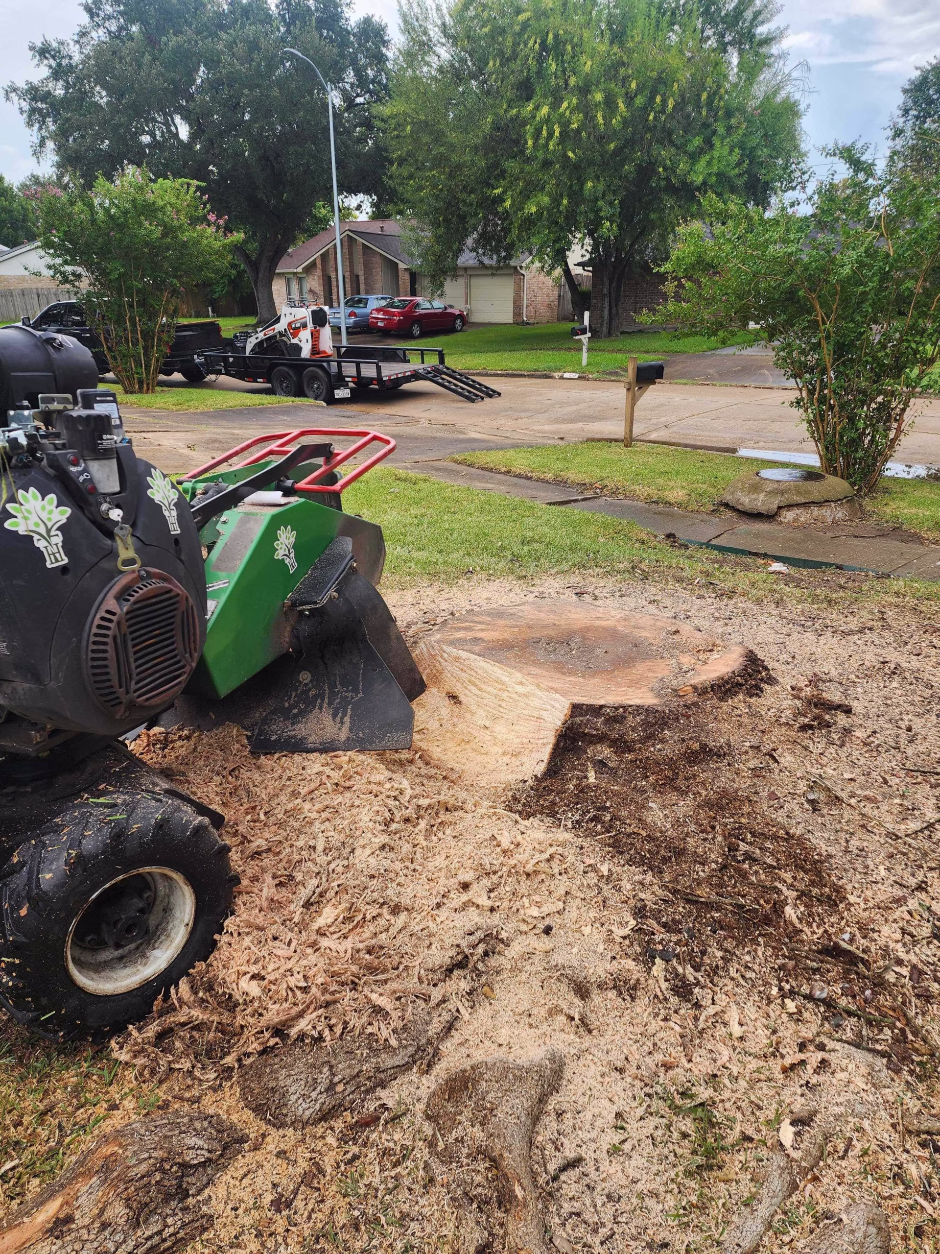 tree removal in Longvine Dr Houston TX