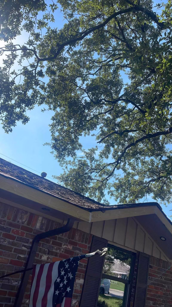Tree Removal in Kapri Ln Houston