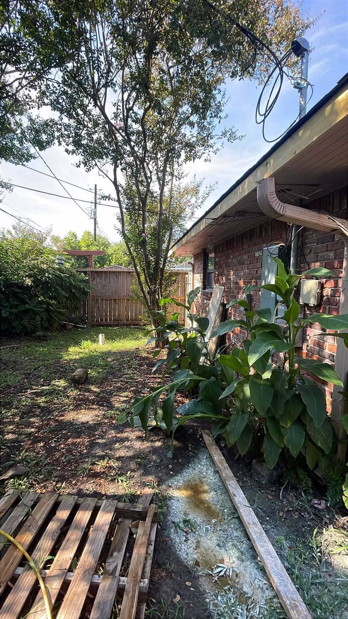 Tree Removal in Kapri Ln Houston