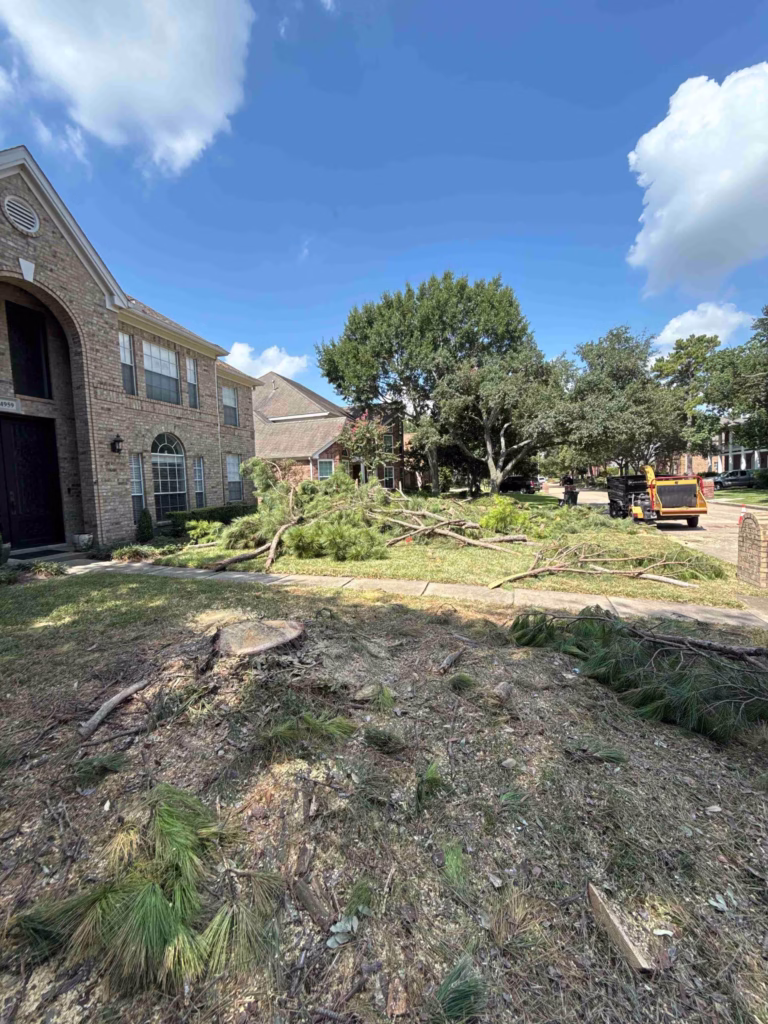 Tree Removal in Inverrary Drive Houston TX