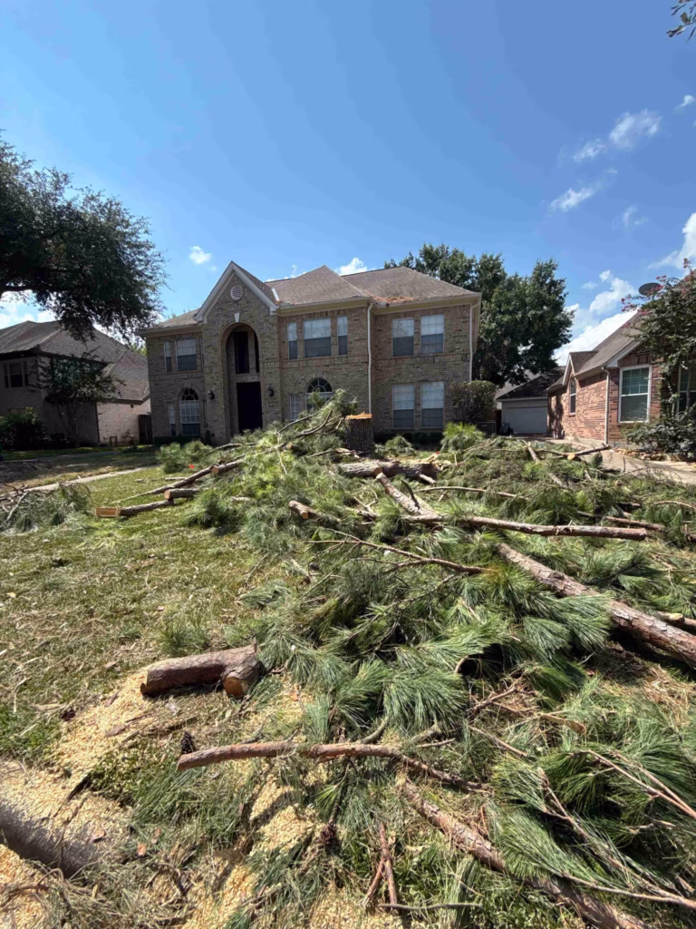 Tree Removal in Inverrary Drive Houston TX