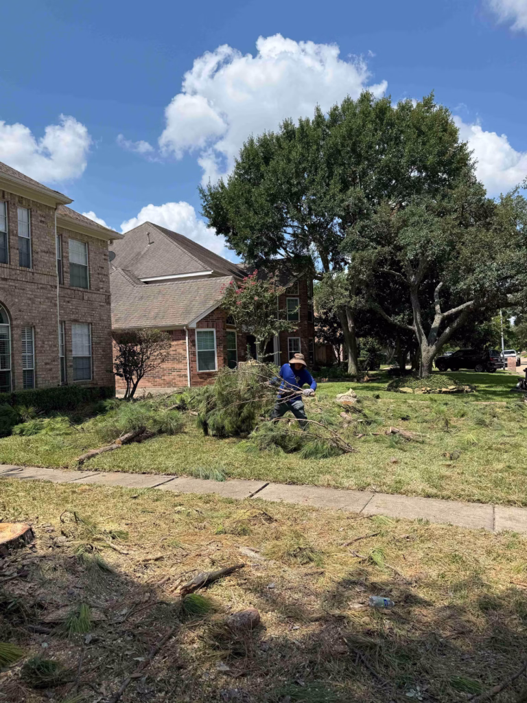 Tree Removal in Inverrary Drive Houston TX