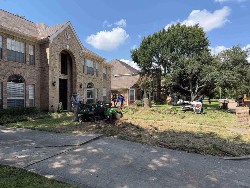 Tree Removal in Inverrary Drive Houston TX