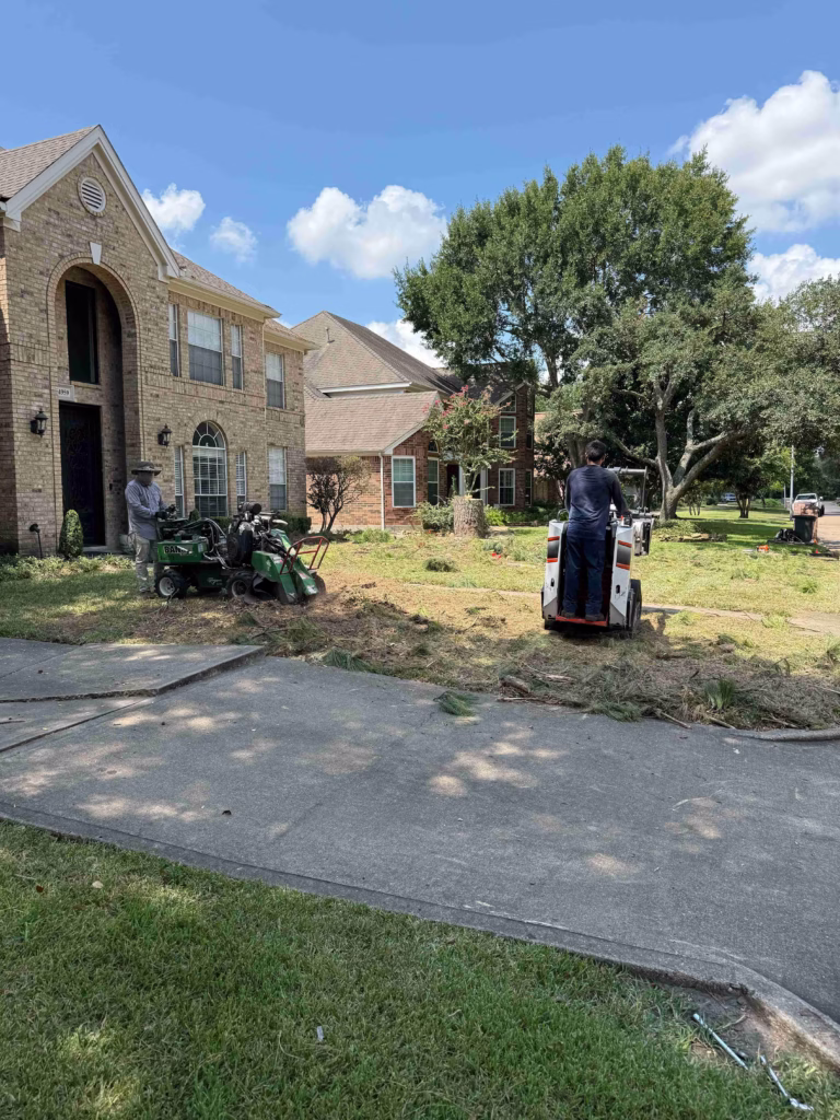 Tree Removal in Inverrary Drive Houston TX