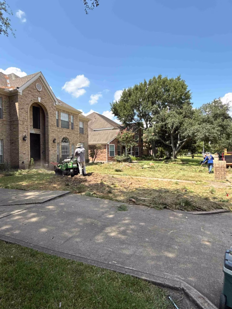 Tree Removal in Inverrary Drive Houston TX