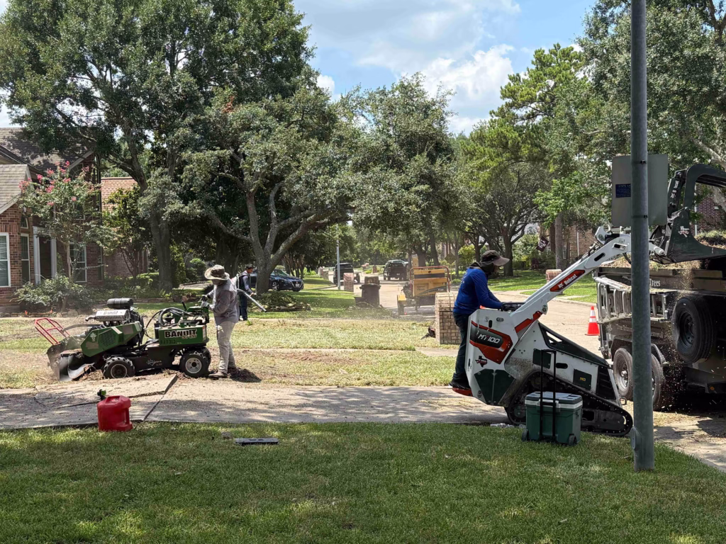 Tree Removal in Inverrary Drive Houston TX